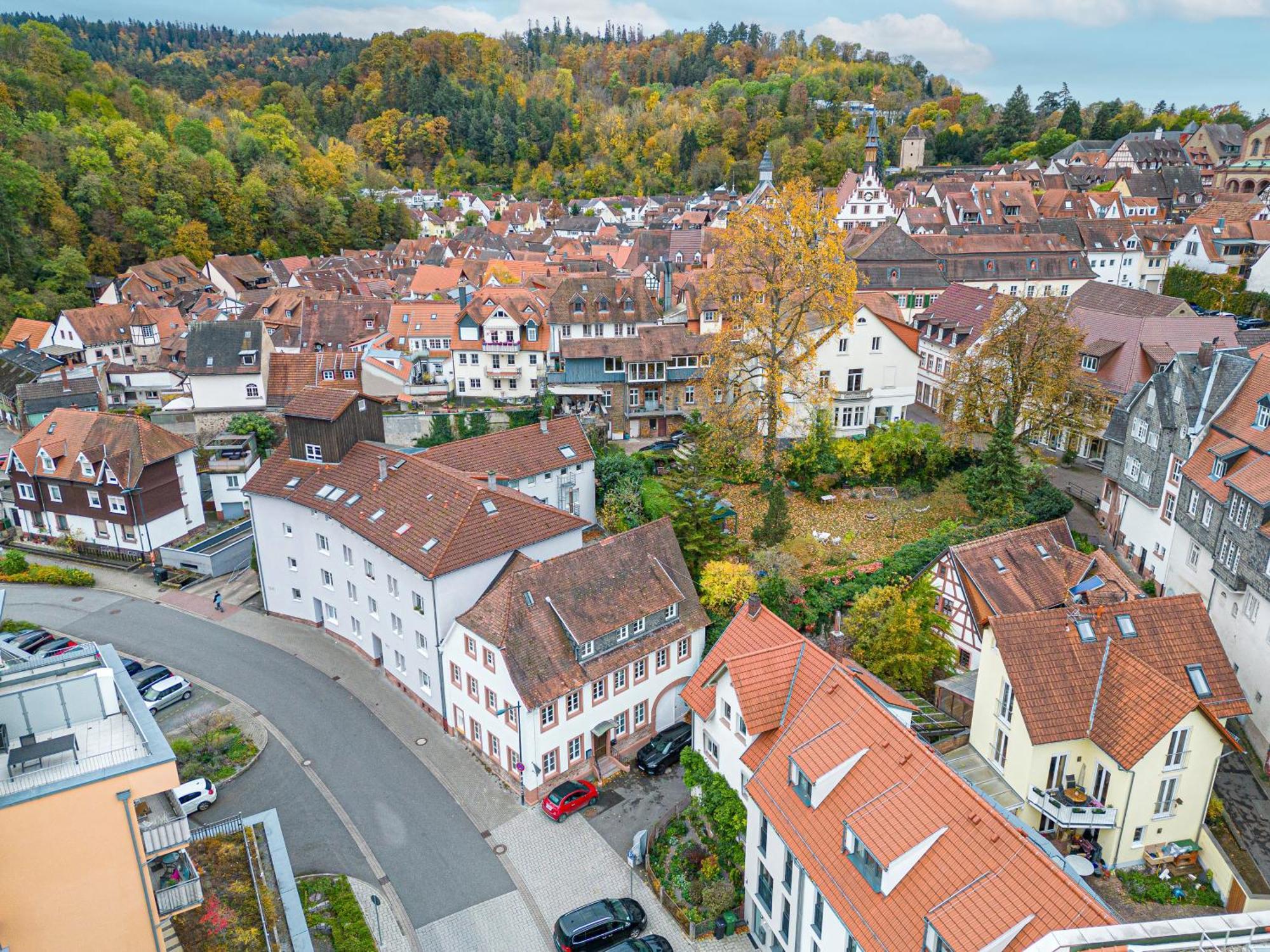 Lit Living Weinheim Altstadt - Boutique Apartments - Parking Экстерьер фото