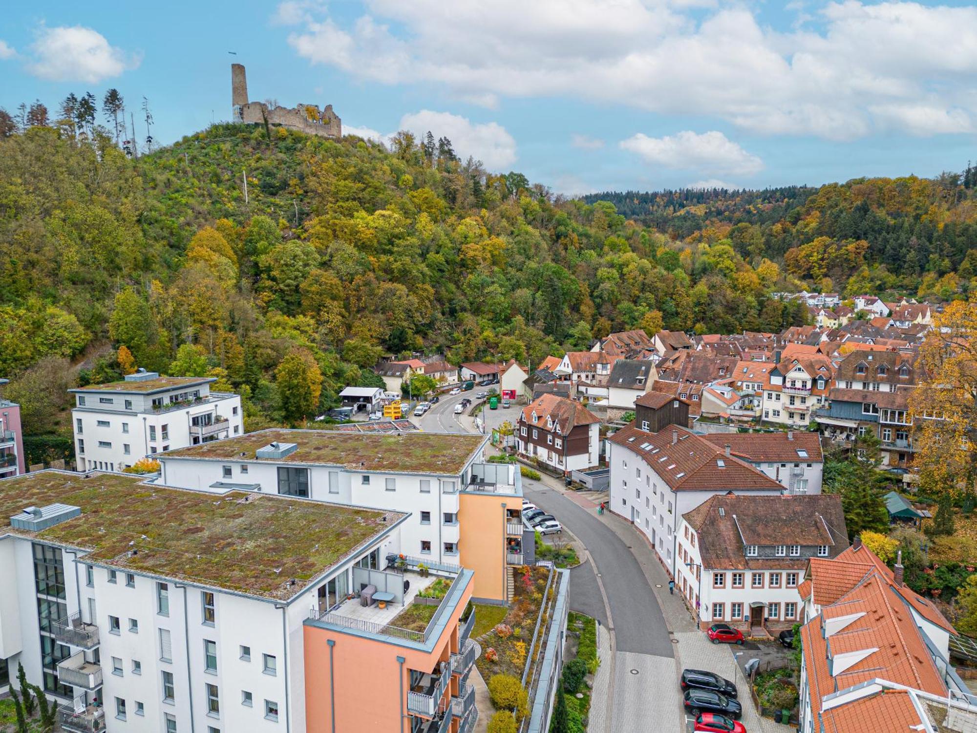 Lit Living Weinheim Altstadt - Boutique Apartments - Parking Экстерьер фото